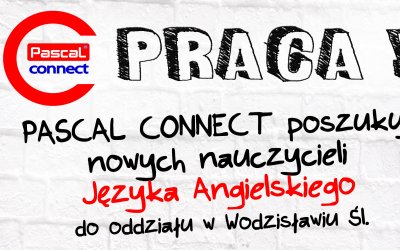 Praca dla Lektora J. Angielskiego w Wodzisławiu